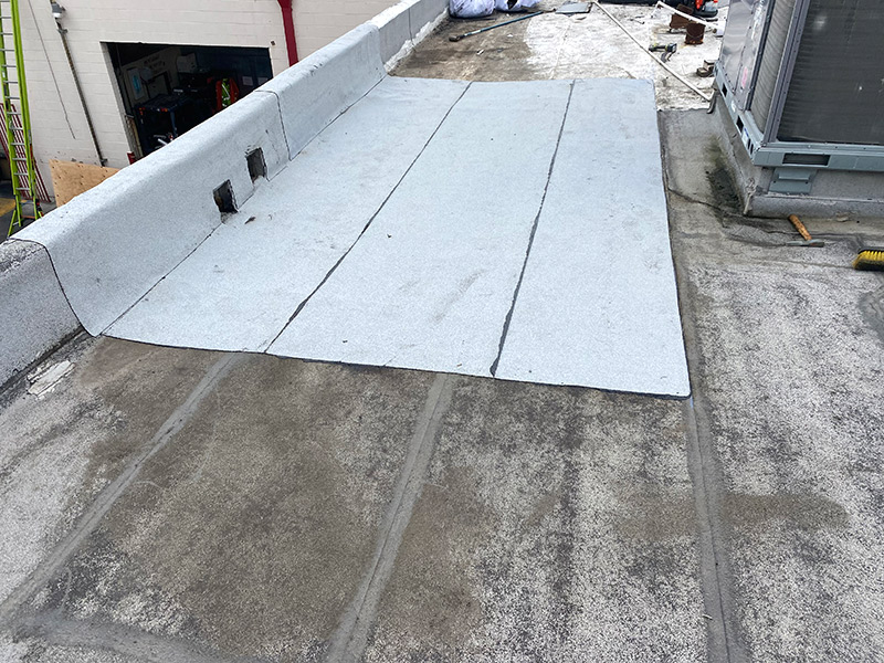 Takara Ramen – Roof Restoration — After